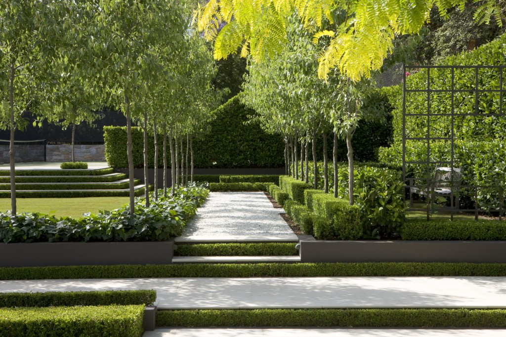 modern landscape design