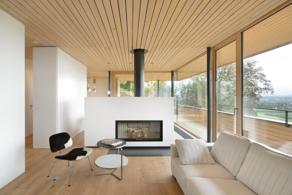 Contemporary Home Design - Fireplaces