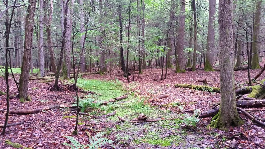 Looking for Land in the Hudson Valley? 