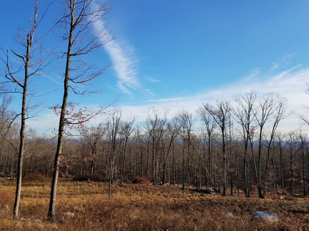Looking for Land in the Hudson Valley to build your Modern Home?