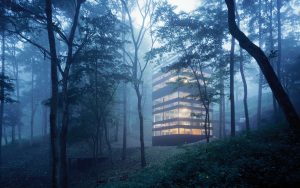 Modern Tower House - Design Inspiration