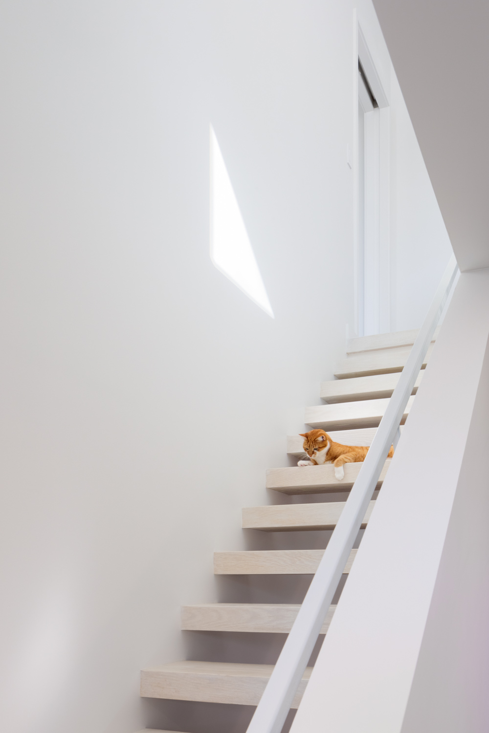 Modern Stairs - FLY Modern - Studio MM Architect