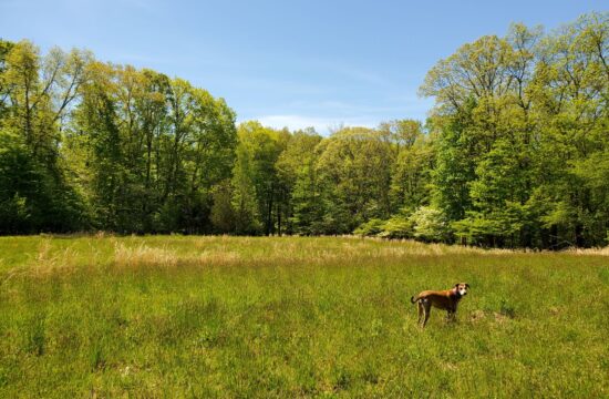 Duchess Farm Retreat - Modern Residential Architecture in Upstate New York
