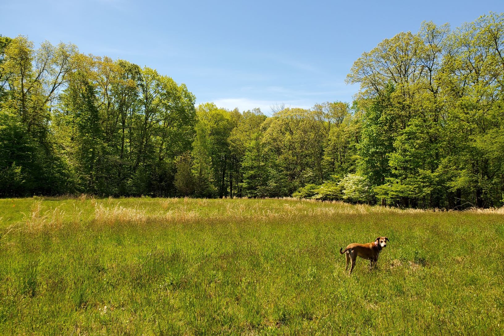 Duchess Farm Retreat - Modern Residential Architecture in Upstate New York