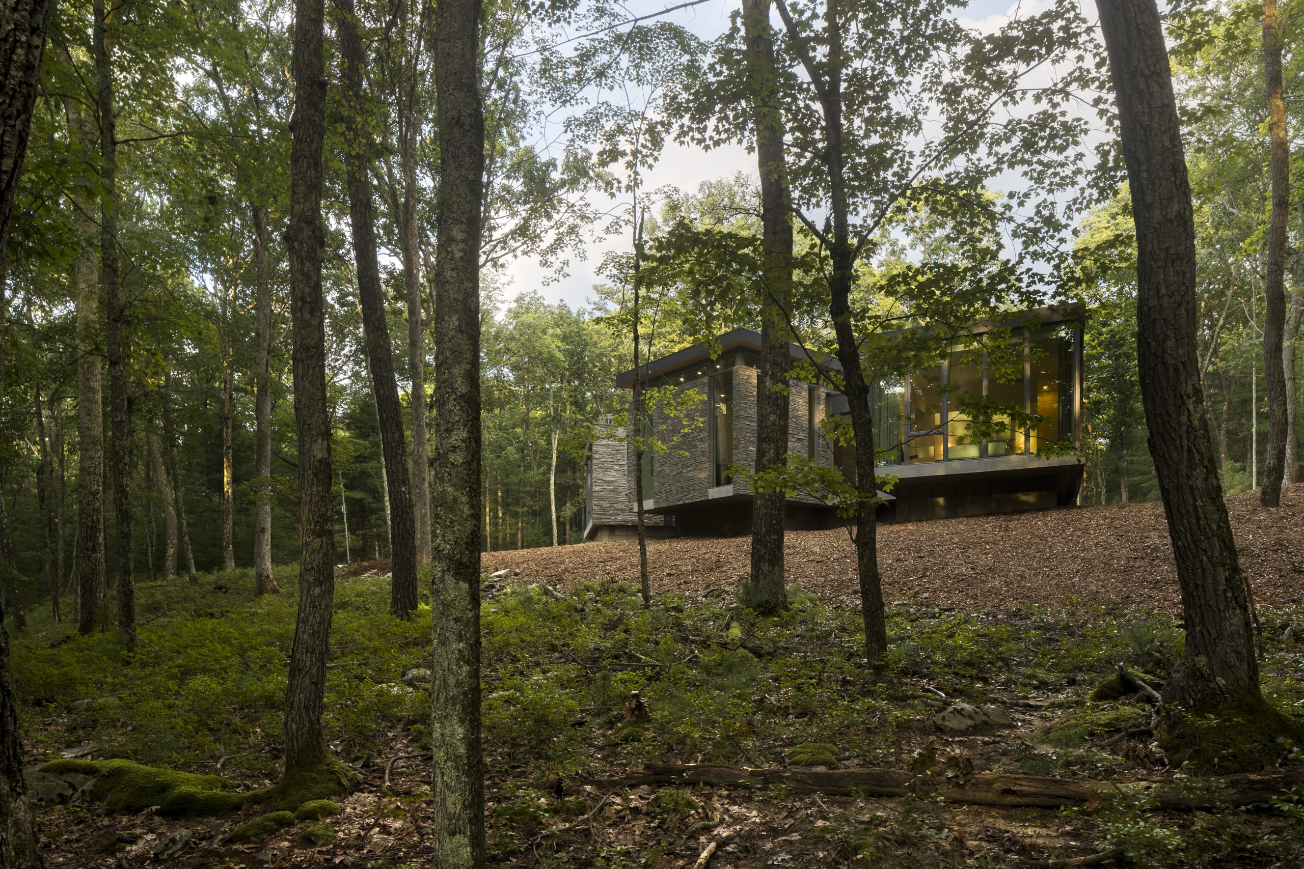 Tranquil Abiding - Floating House in the Woods