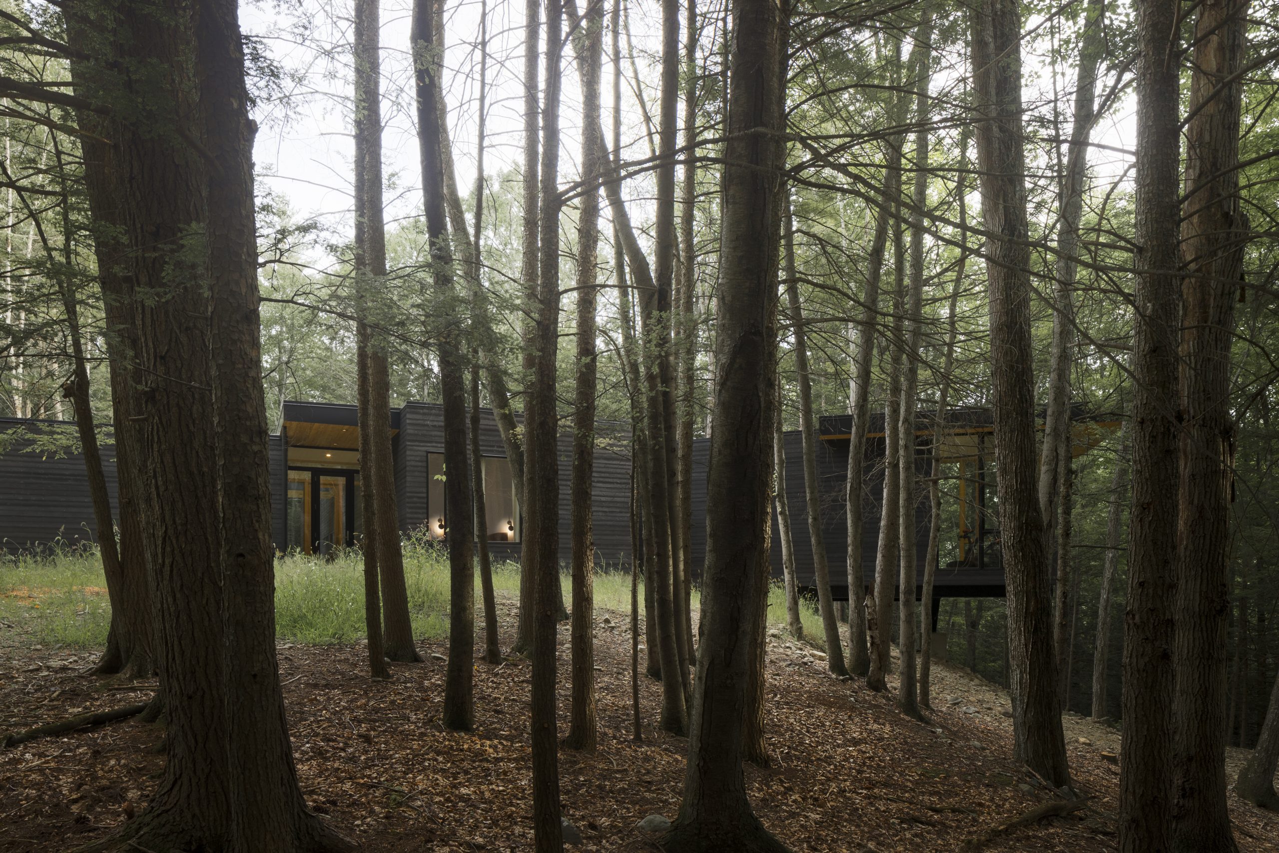 Cat Hill - House in the Woods in Upstate NY