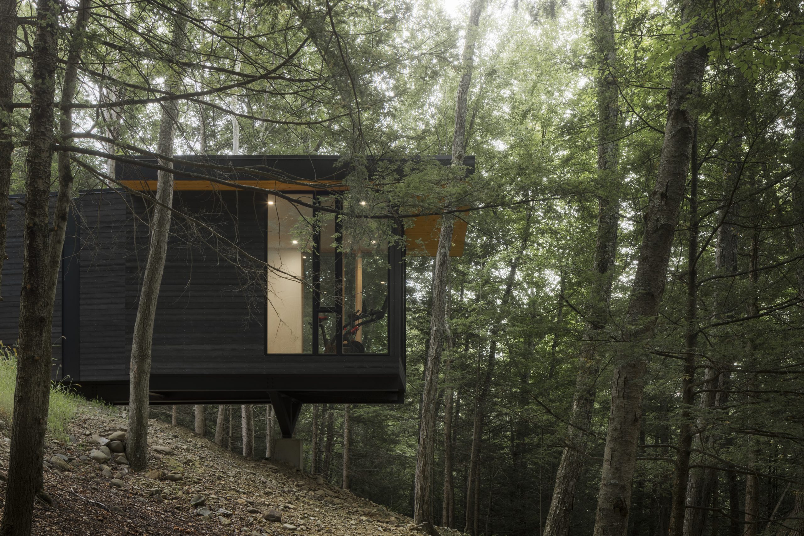 Cat Hill - Floating Fitness Studio and Residence in Upstate NY