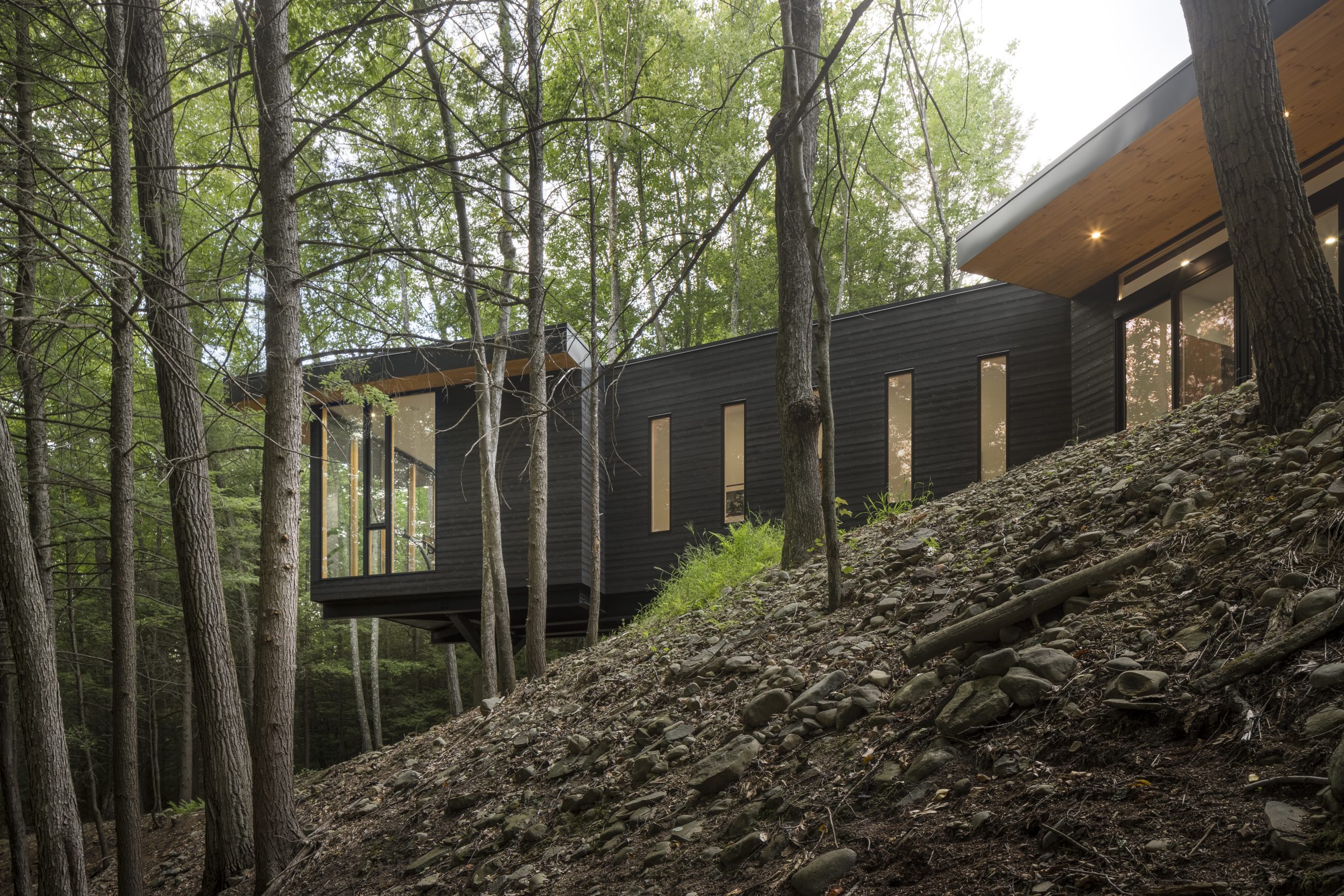 Cat Hill - Modern Residential architecture