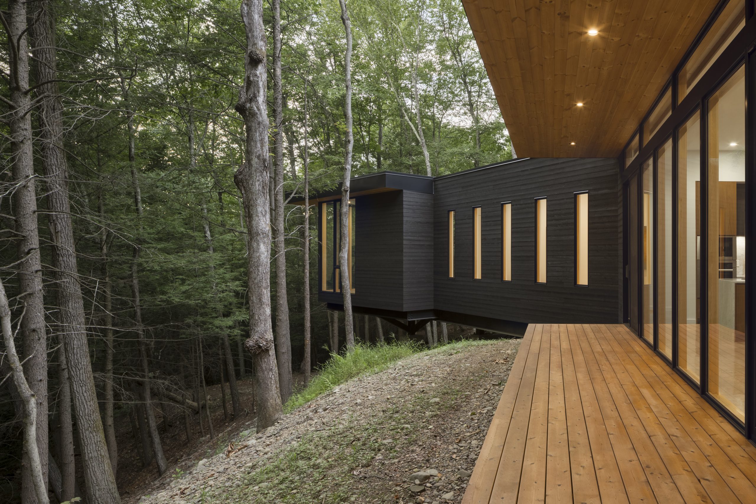 Cat Hill - Modern home in the woods