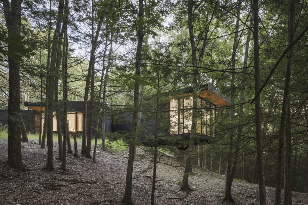 Cat Hill_Contemporary Home Upstate NY