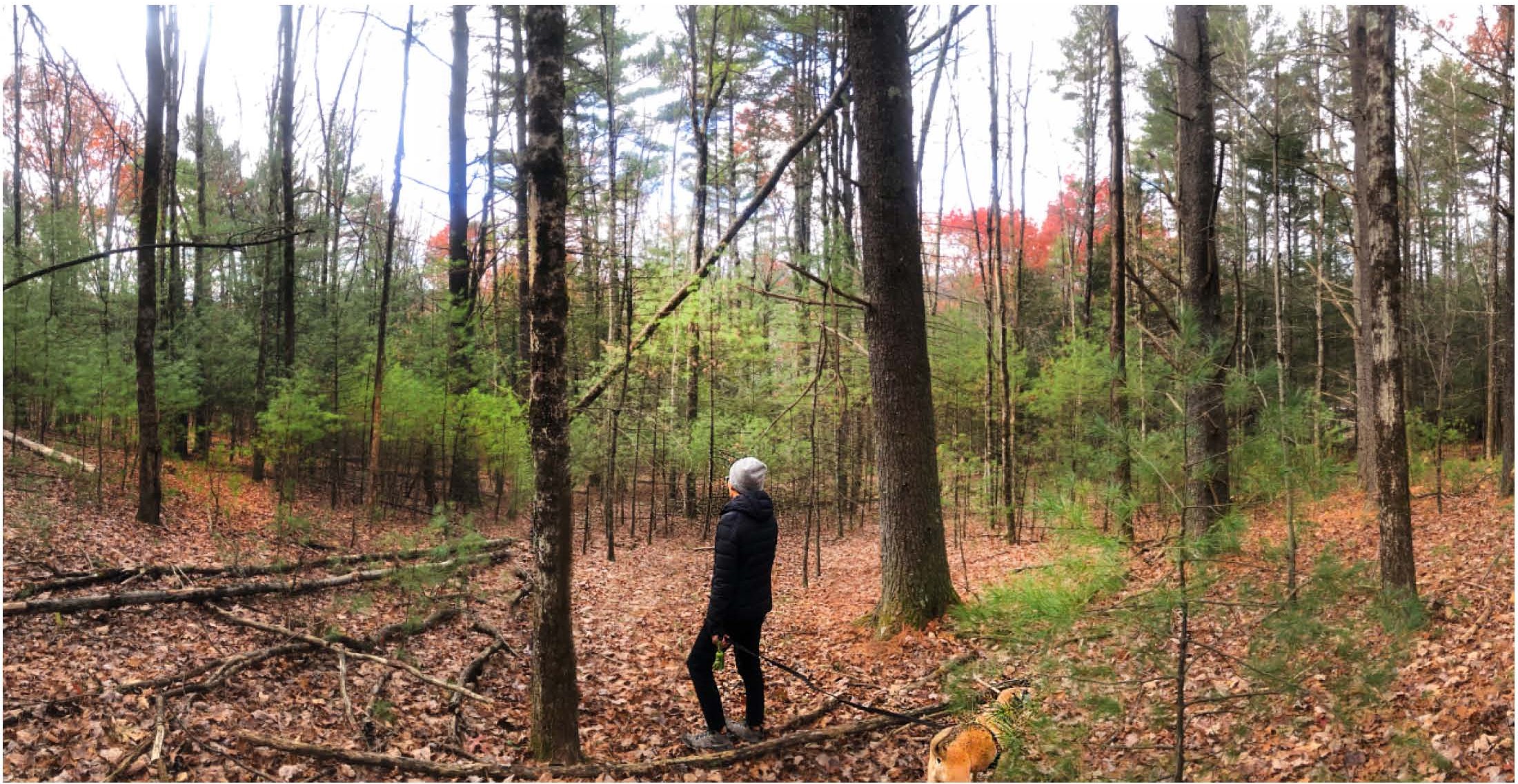 Behind the Design: Art Fort