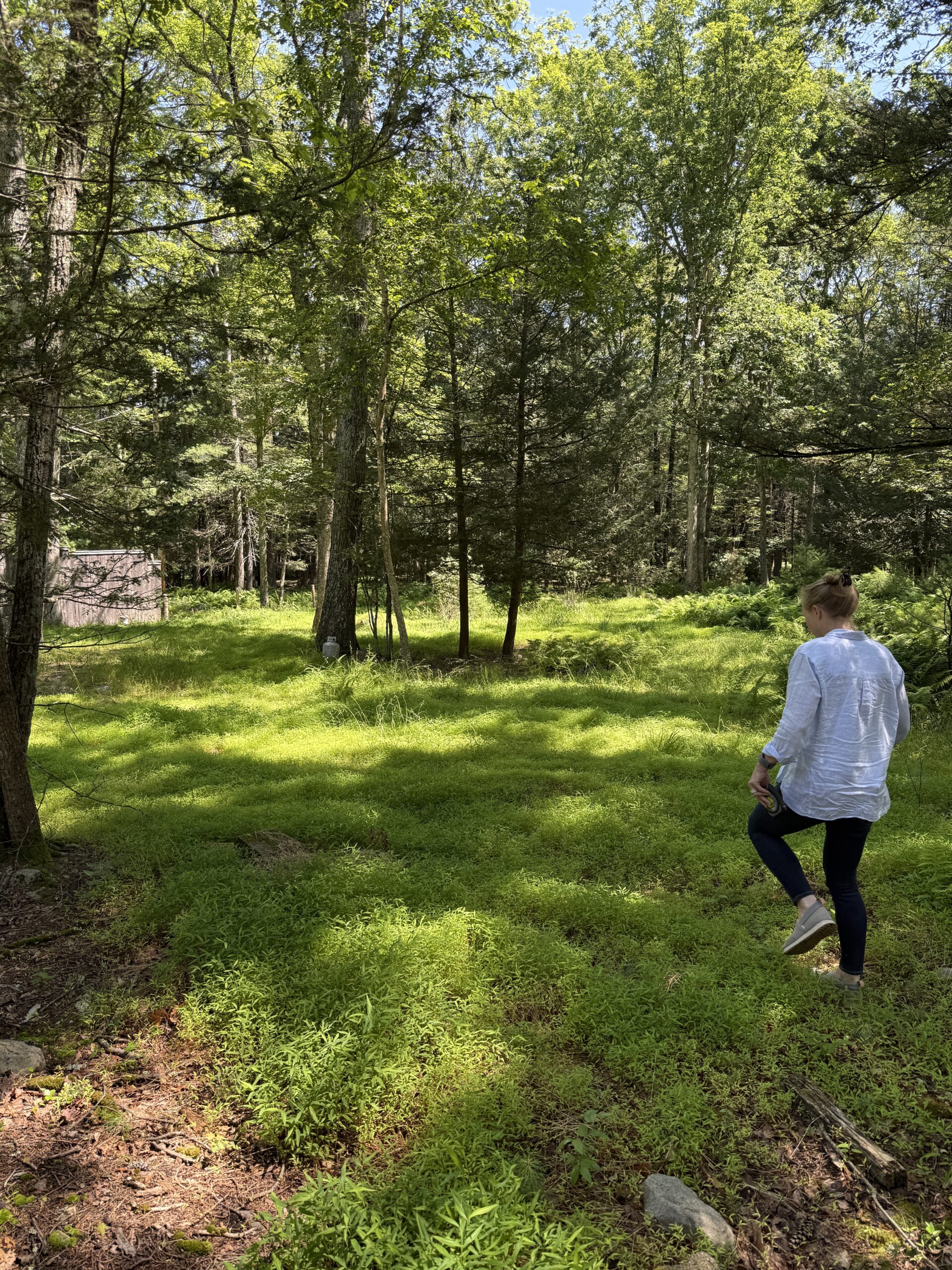 Gallery at ClusterOne