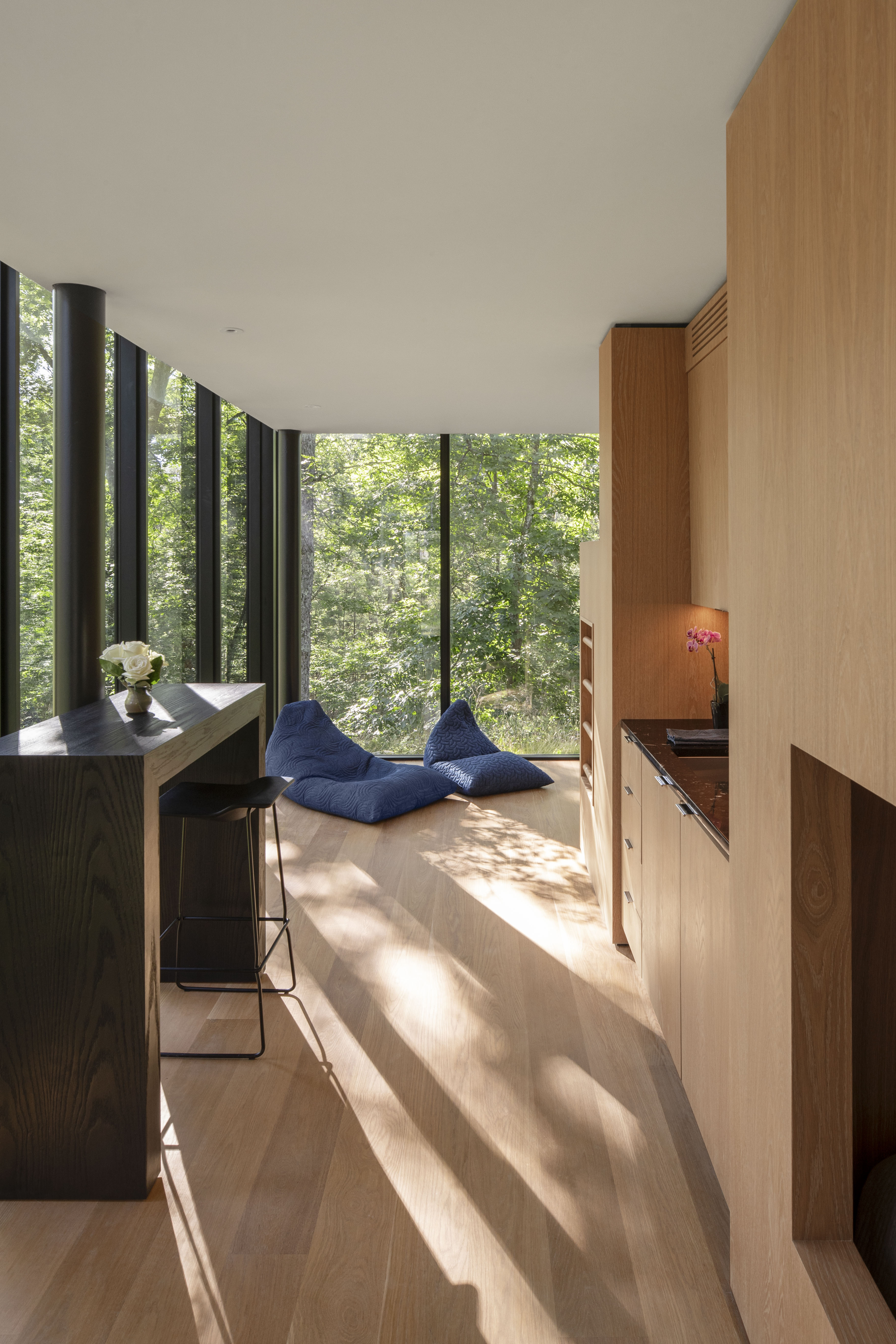 VIA43 Bunkhouse - Custom wood and glass guesthouse