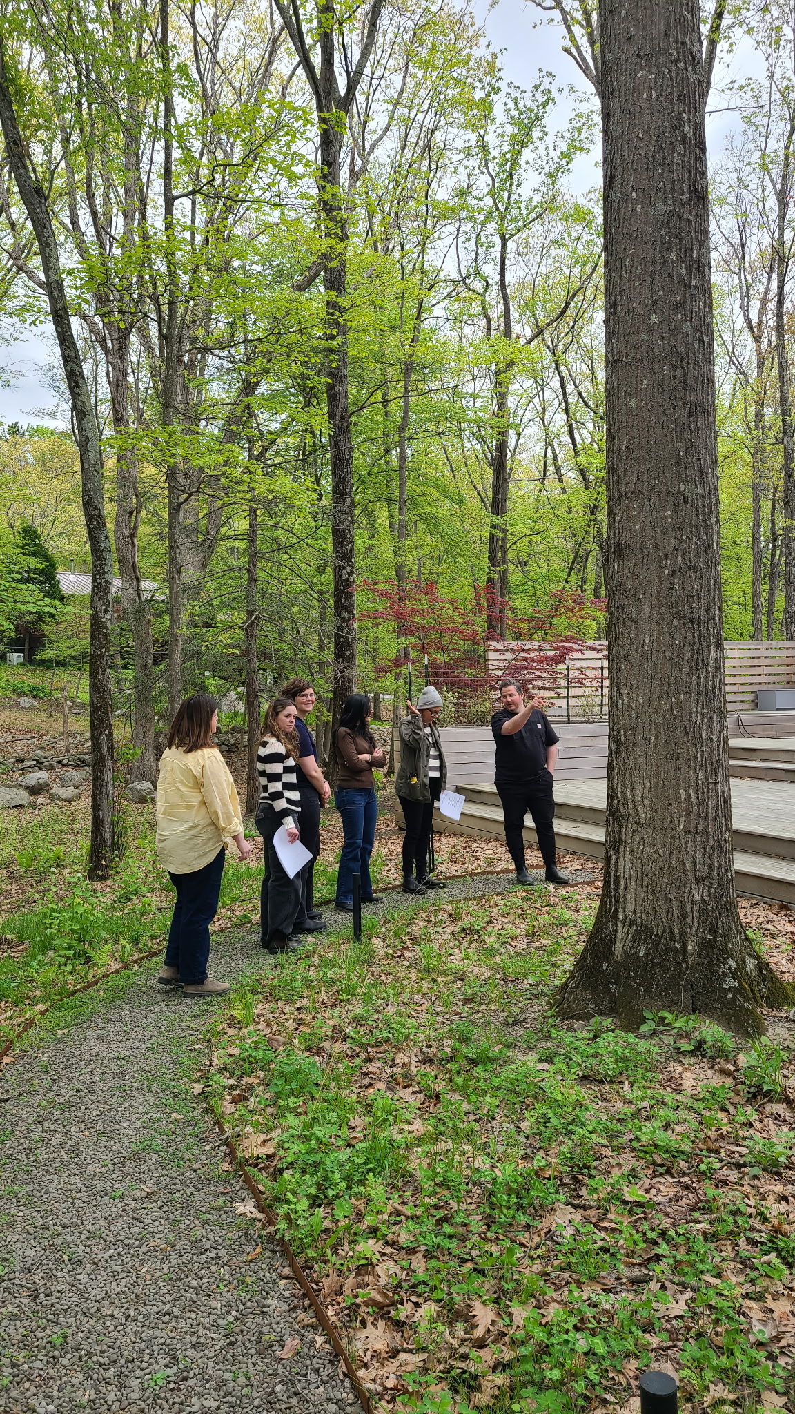 A group follows a man as he points toward a large tree along a gravel path in a lush, wooded backyard.