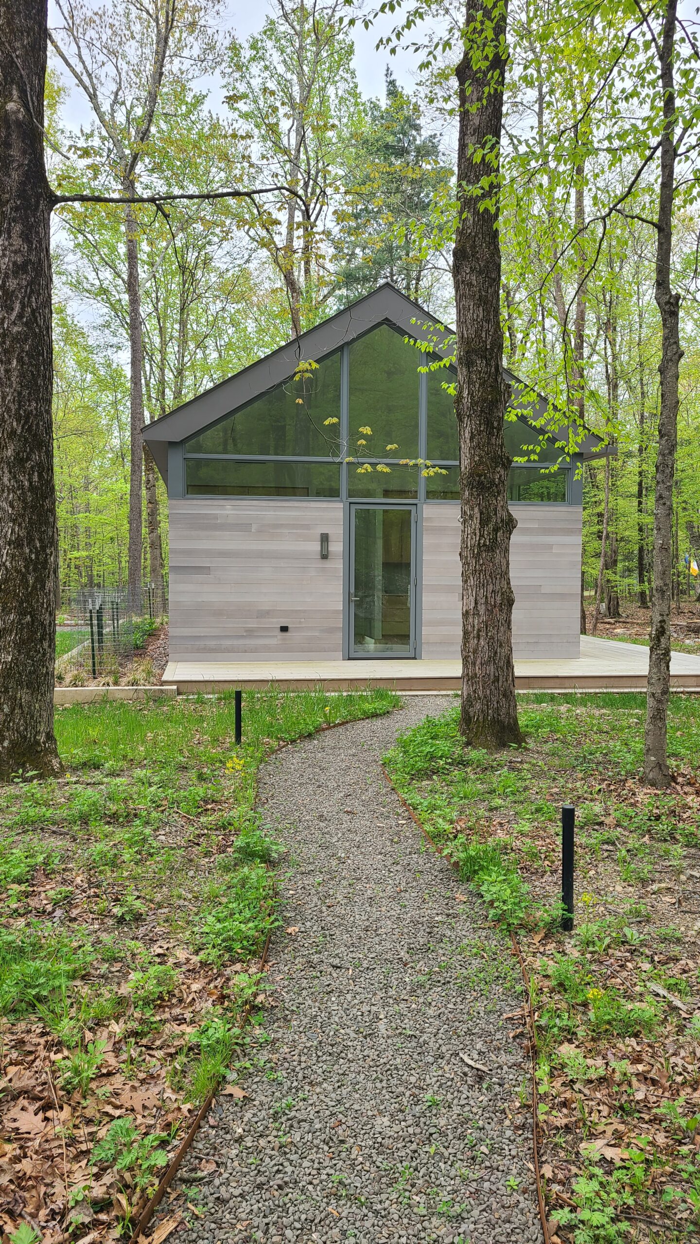 A gravel path leads through a wooded lot toward a small, modern cabin with large windows and light wood siding.
