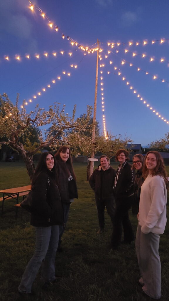 A group of six people poses at dusk under a canopy of glowing string lights radiating from a central pole in a grassy field.
