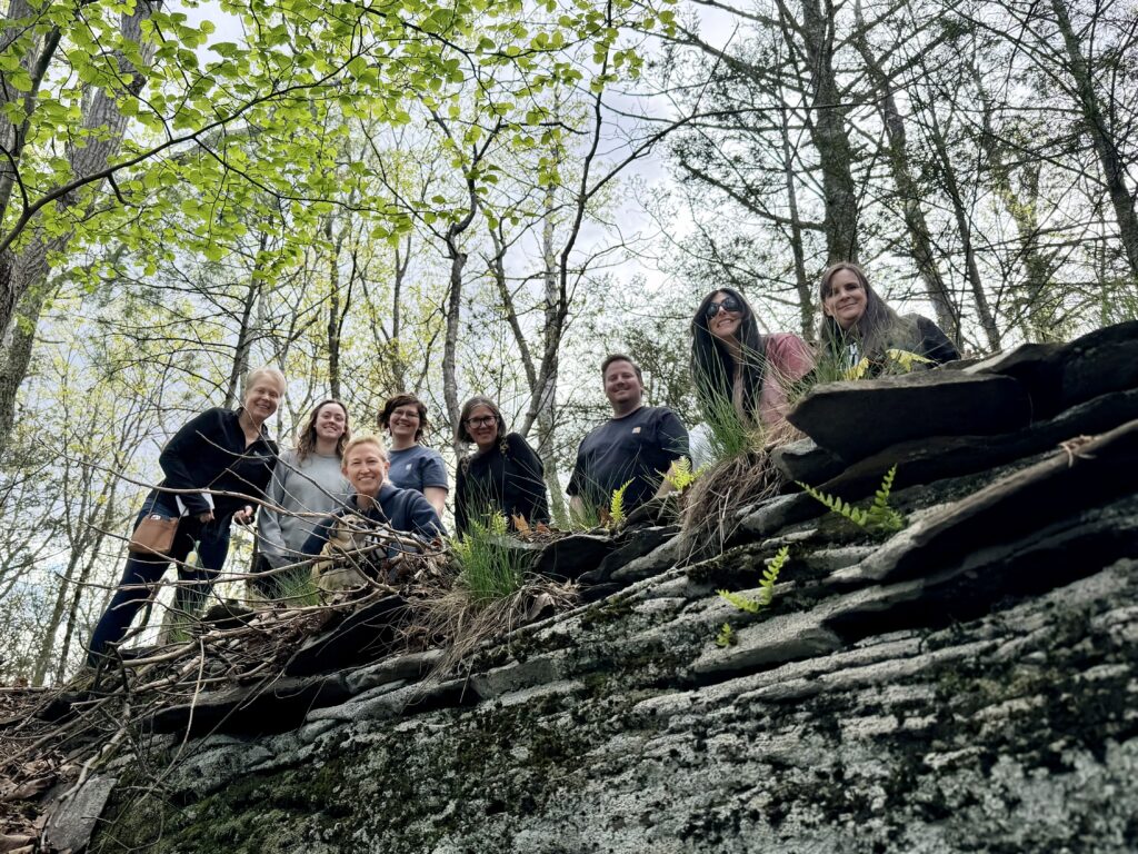 A low-angle shot of a group of seven people smiling as they peer over the edge of a mossy, layered stone wall in a sunlit forest.