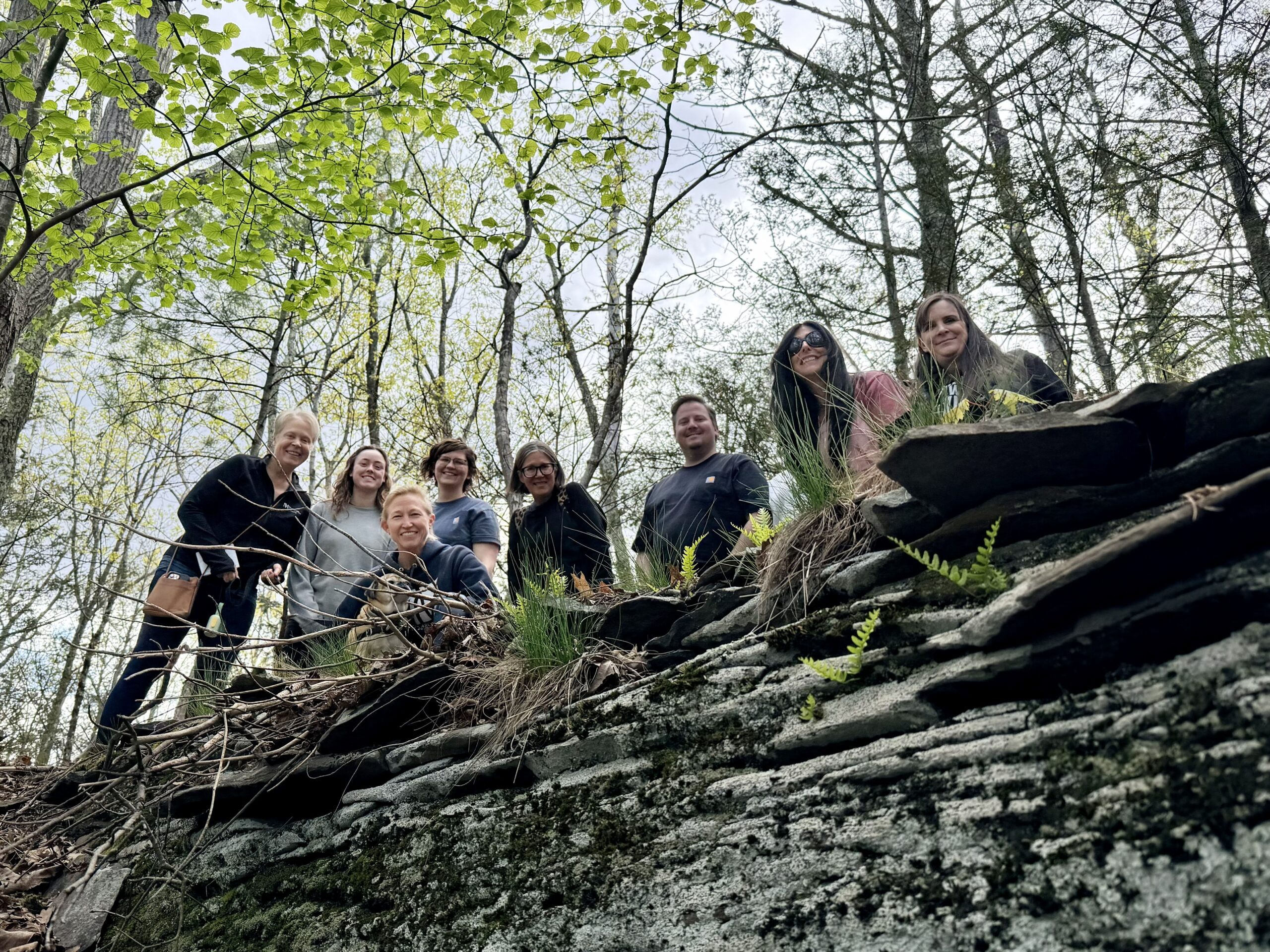 A low-angle shot of a group of seven people smiling as they peer over the edge of a mossy, layered stone wall in a sunlit forest.