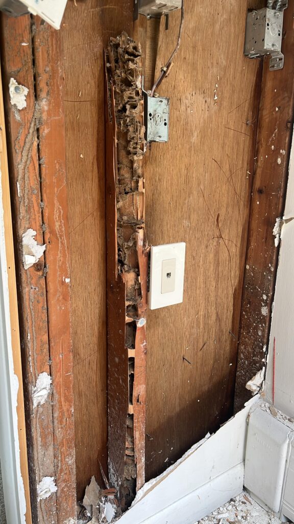 Structural framing damage from termites at MCM32 renovation, with compromised members identified and marked for replacement during demolition phase.