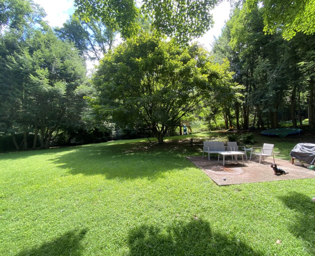 Sunny backyard with a large lawn, shade trees, a small patio with outdoor furniture, a dachshund-mix dog, and a play structure in the background