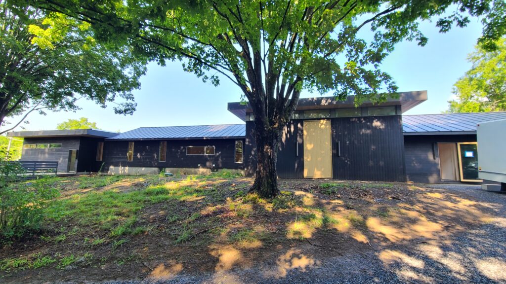 Exterior of a modern single-story black wood-clad house with a metal standing-seam roof and a large tree in front